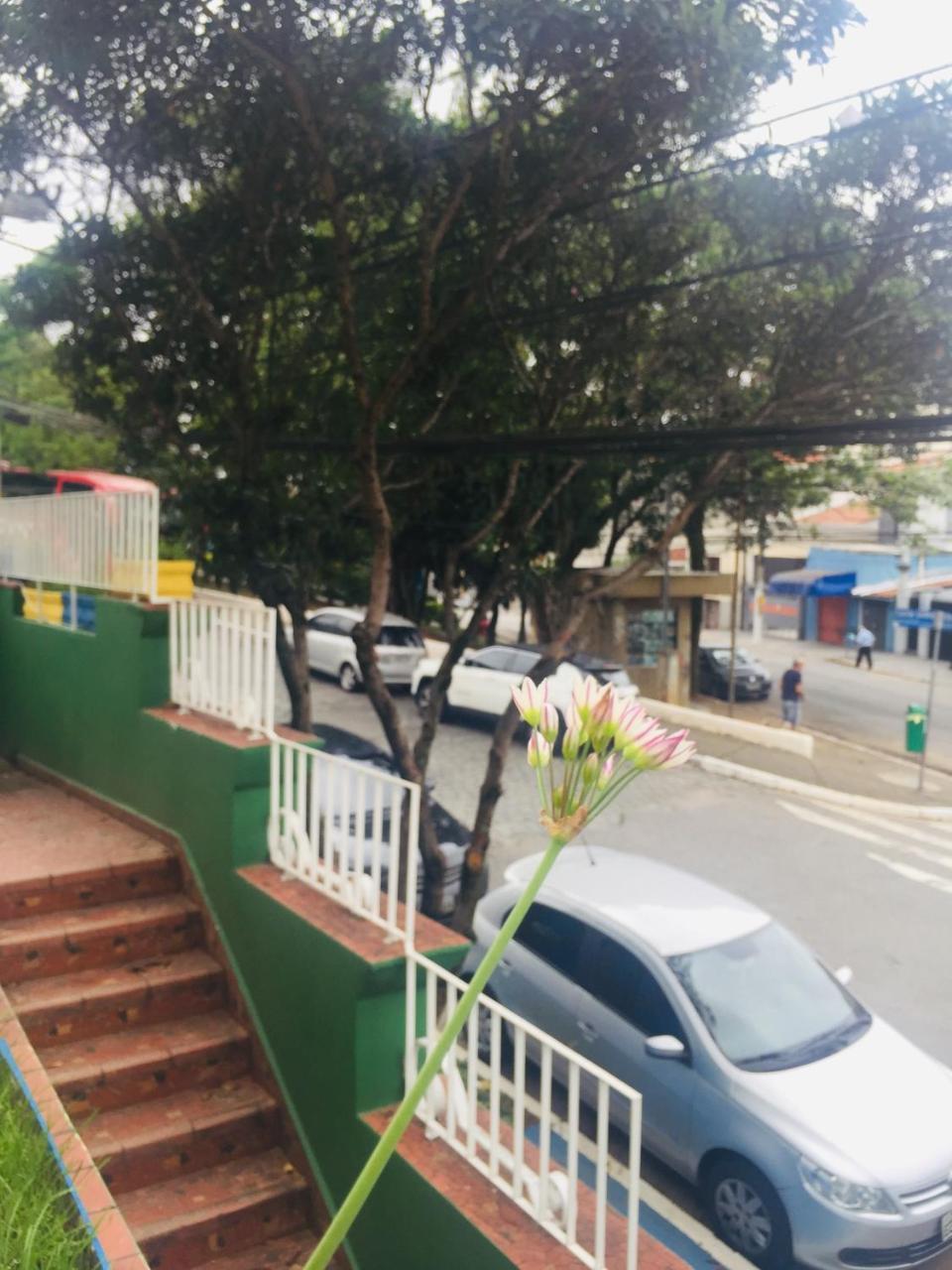 Brasil Sp * 圣保罗